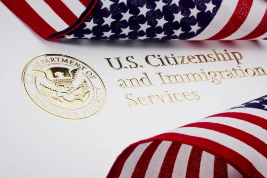 U.S. Citizenship and Immigration Services logo and seal with an American flag in the foreground.